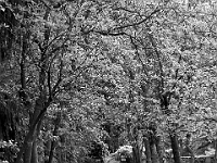 NJ Botanical Gardens 9